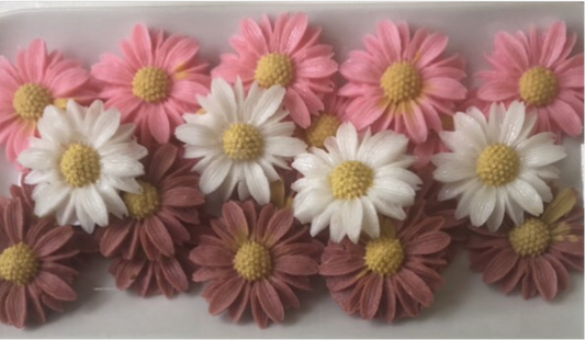 Daisies Soaps